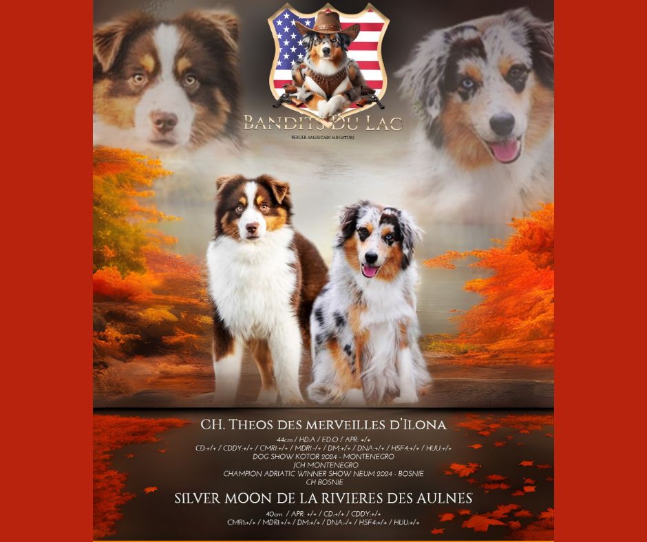 Gestation confirmée, des bébés bandits aux alentours du 9 novembre '25