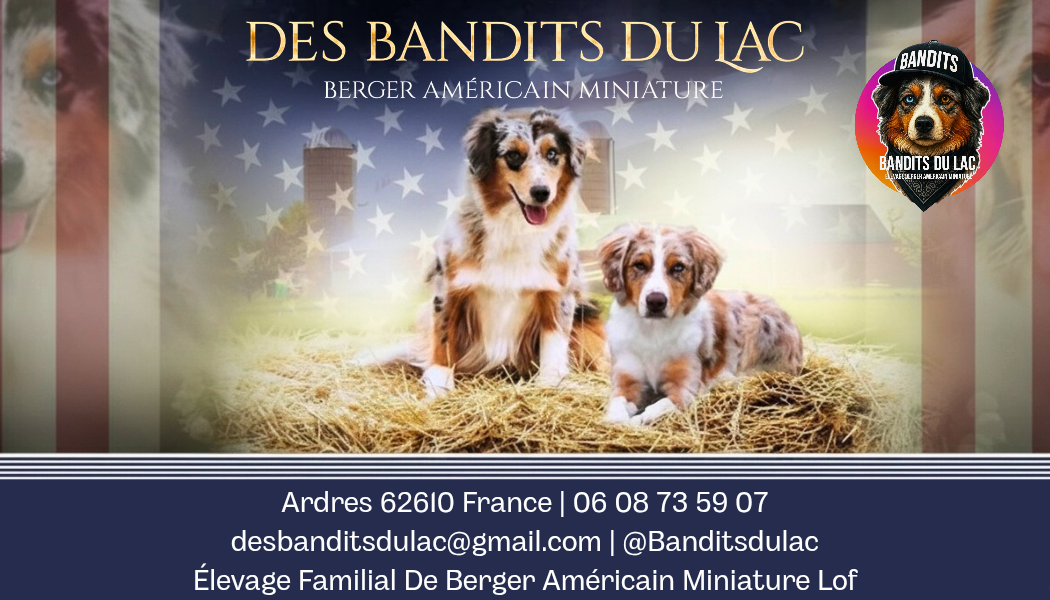 Des Bandits Du Lac